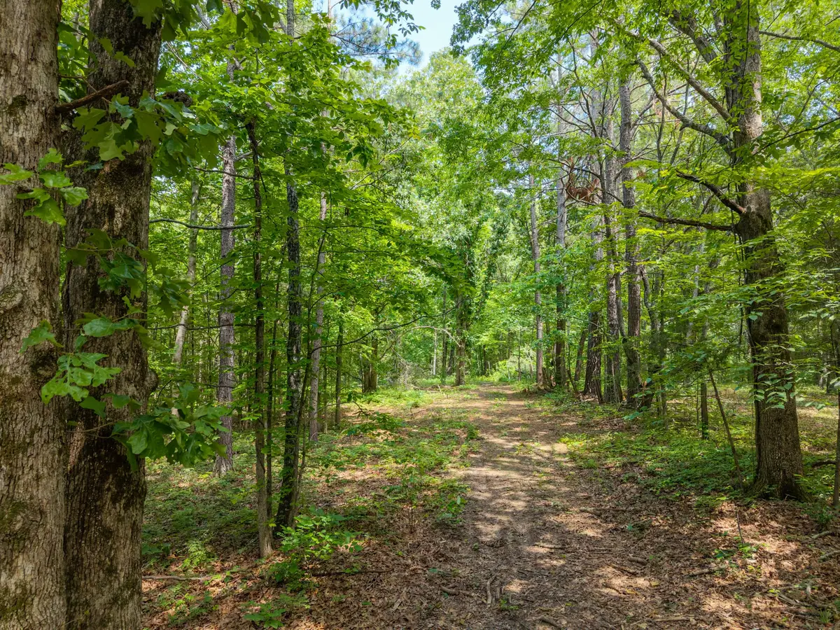 0 Eli Rd, Bon Aqua, TN 37025 - #1