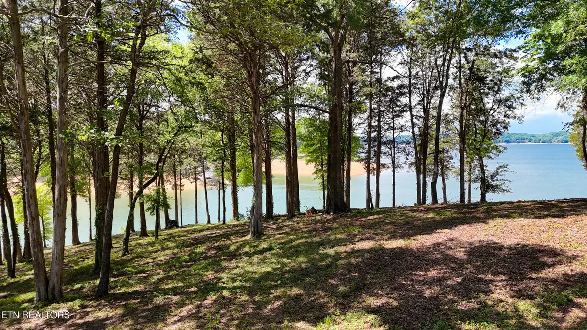 123 Ridge Point Tr, Dandridge, TN 37725 - #1