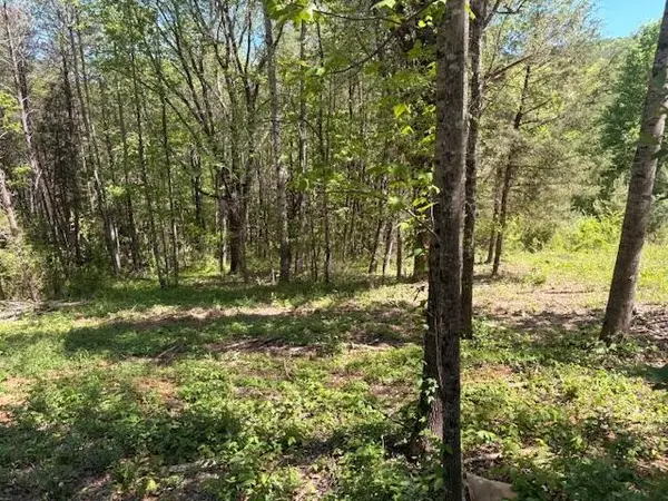 12 Bivens Court, Niota, TN 37826