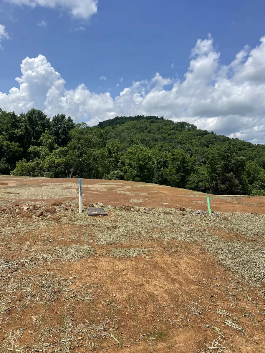 163 Berry Hunter Lane, Franklin, TN 37067 - #2