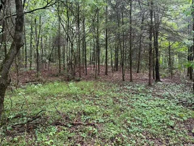 0 Freeze Rd, Morrison, TN 37357 - #3