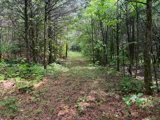 0 Freeze Rd, Morrison, TN 37357 - #2