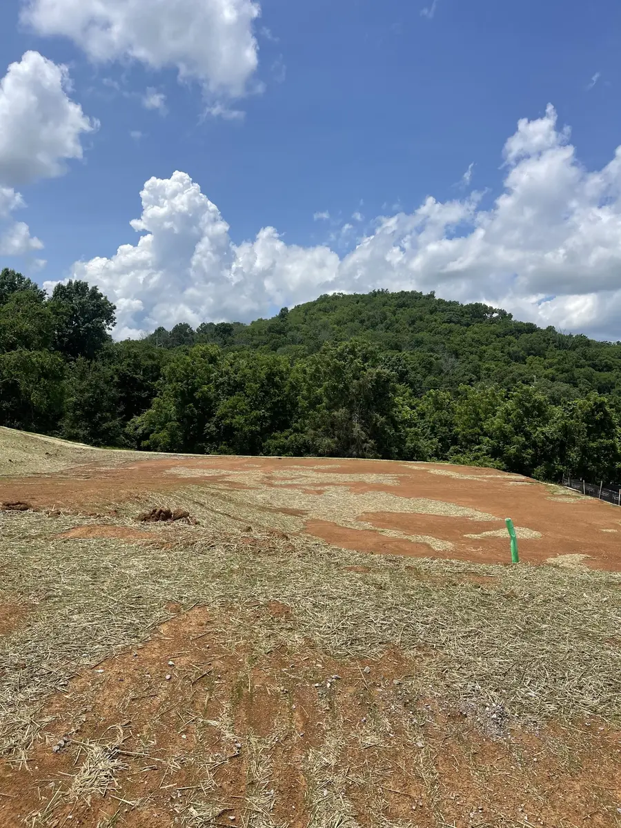 157 Berry Hunter Lane, Franklin, TN 37067 - #2