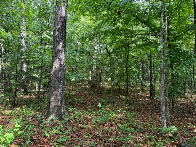 0 Freeze Rd, Morrison, TN 37357 - #3