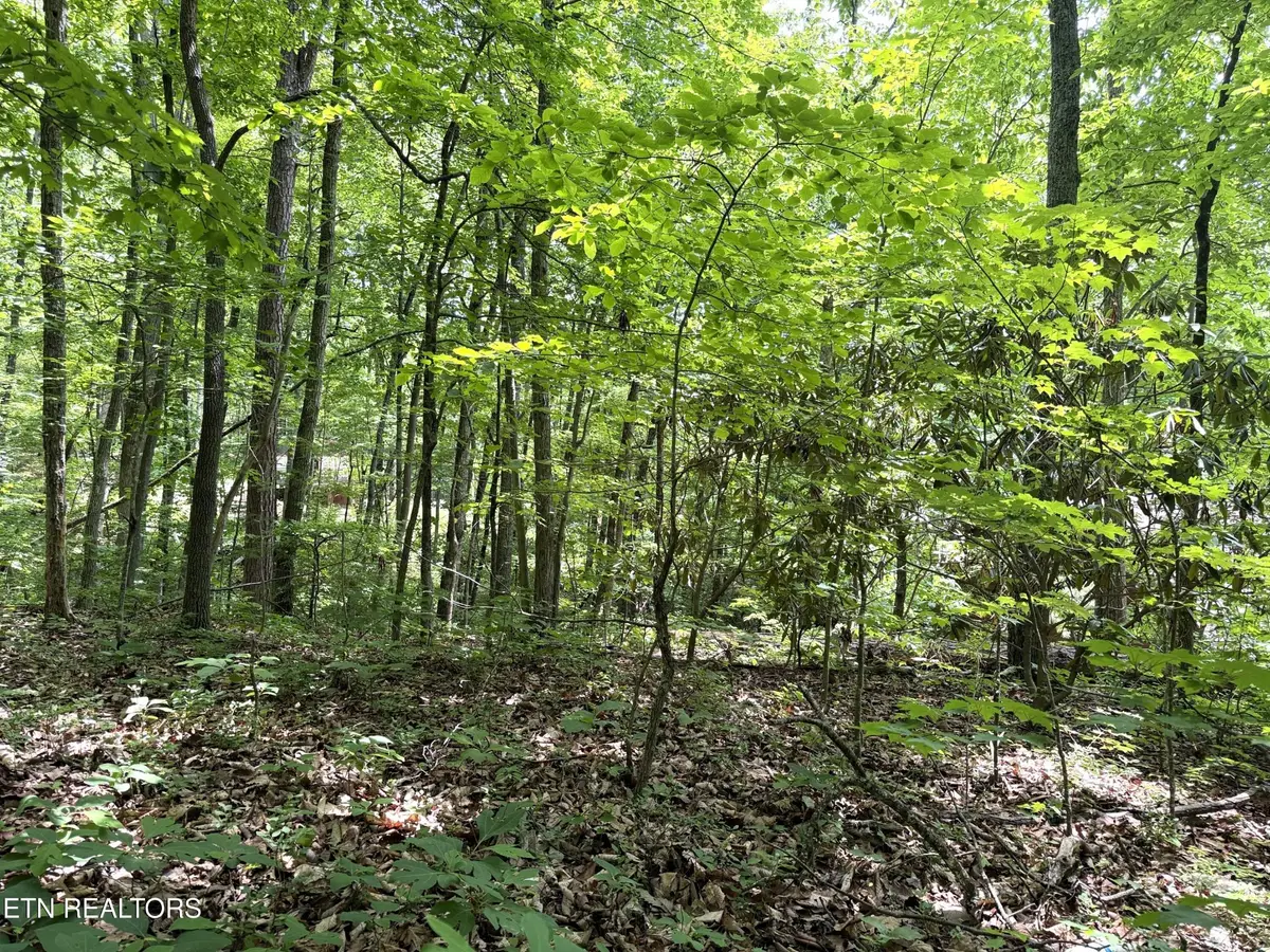 0 Swann Saddle, Sevierville, TN 37876 - #1