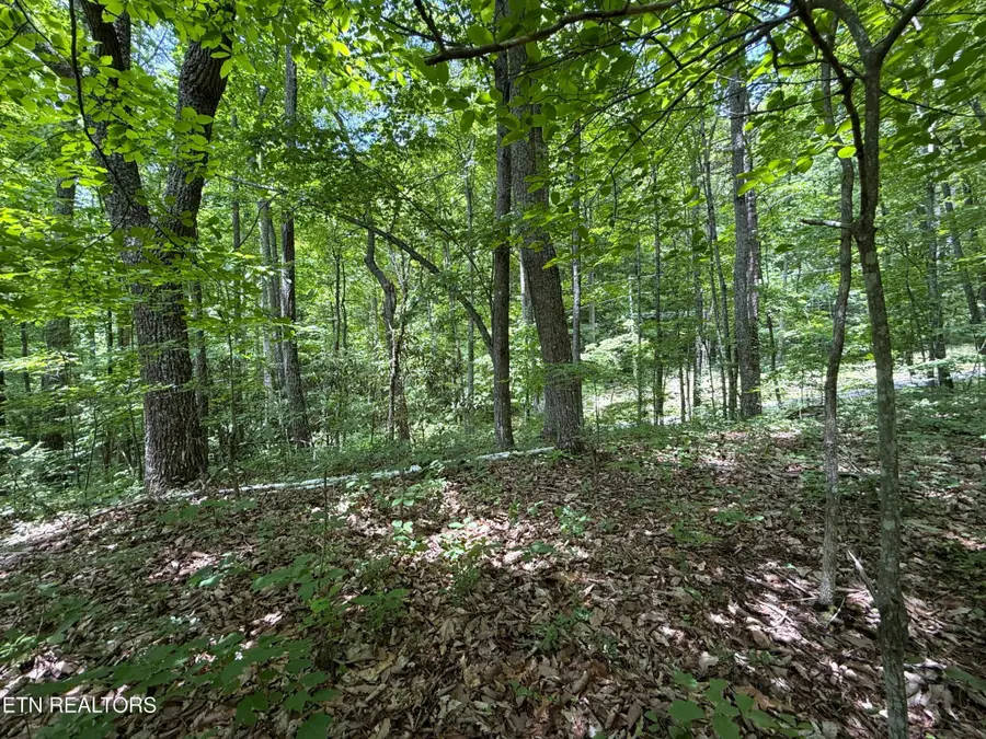 0 Swann Saddle, Sevierville, TN 37876 - #3