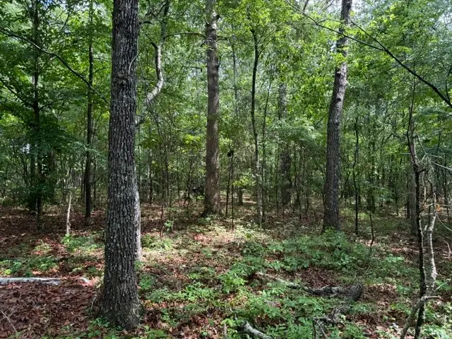 0 Teeters Rd, Morrison, TN 37357 - #3