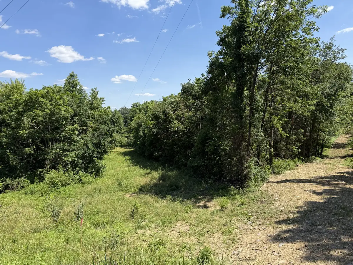 0 City Park Rd, Westmoreland, TN 37186 - #1