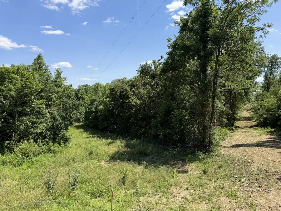 0 City Park Rd, Westmoreland, TN 37186 - #3