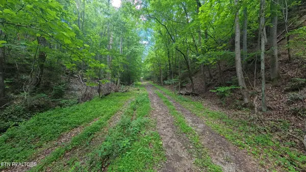 195 Sherwood Lane, Harriman, TN 37748
