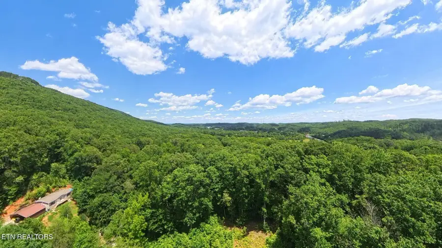 195 Sherwood Lane, Harriman, TN 37748 - #3