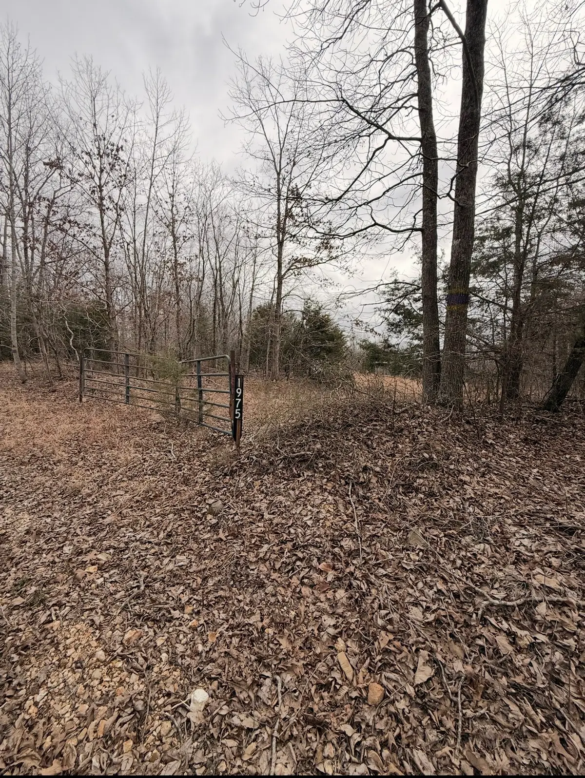 1975 Dogwood Rd, Hurricane Mills, TN 37078 - #1