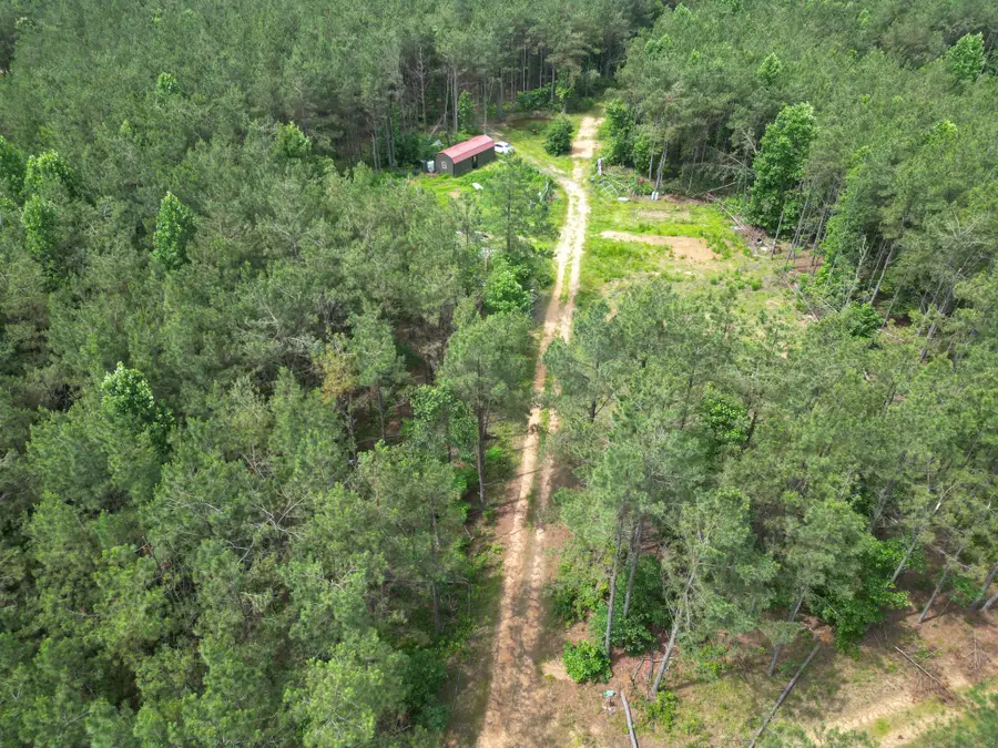 105 Alfred Lane, Hohenwald, TN 38462 - #3