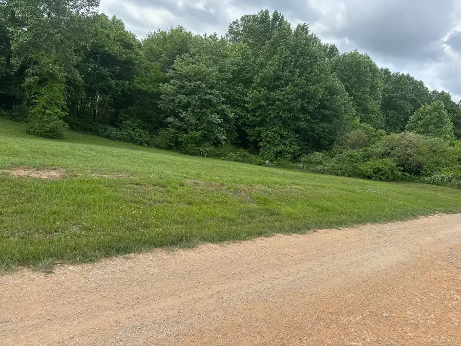 0 Michael Dr, Leoma, TN 38468 - #3