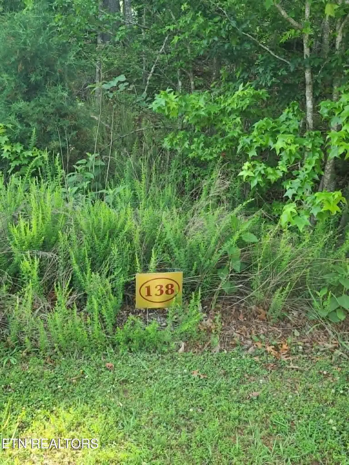 138 E Shore Drive, Rockwood, TN 37854 - #1