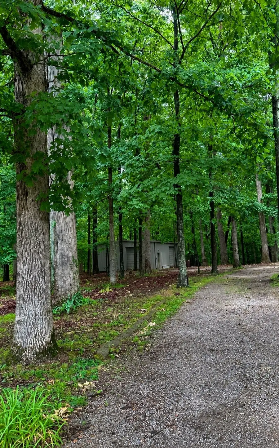 7344 Bidwell Rd, Joelton, TN 37080 - #2