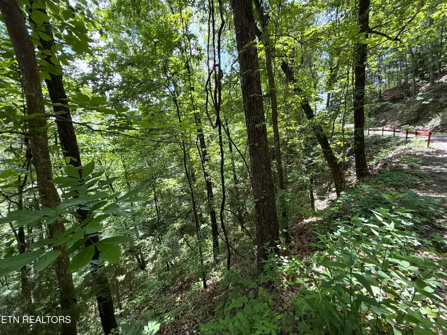 0 Aintree Drive, Sevierville, TN 37876 - #3