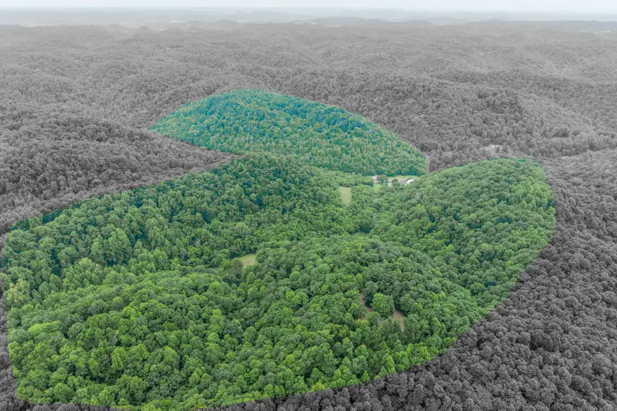 1771 Hurricane Creek Rd, Woodbury, TN 37190 - #2