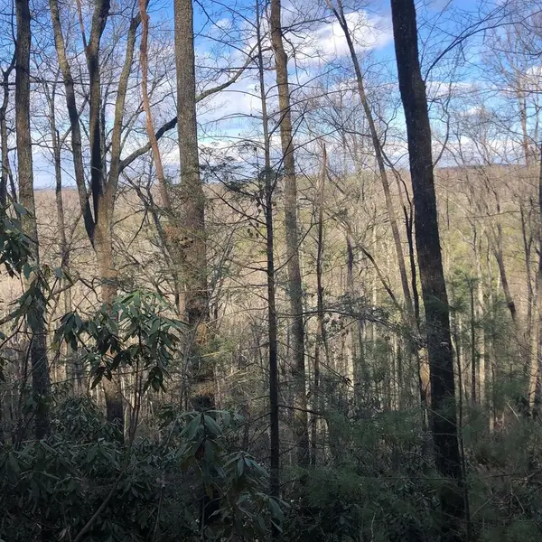 450 Holder Cemetery Road, Tellico Plains, TN 37385