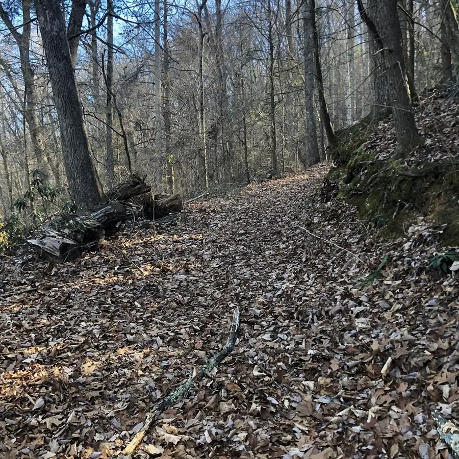 450 Holder Cemetery Road, Tellico Plains, TN 37385 - #2