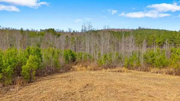 0 Redman Lane, Decatur, TN 37322
