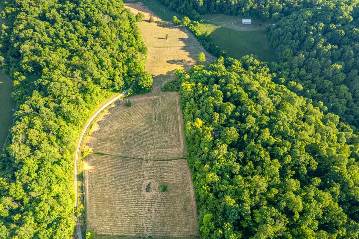 6 Young Rd, Pulaski, TN 38478 - #1