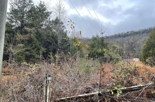 0 Reagan Valley Road, Madisonville, TN 37354