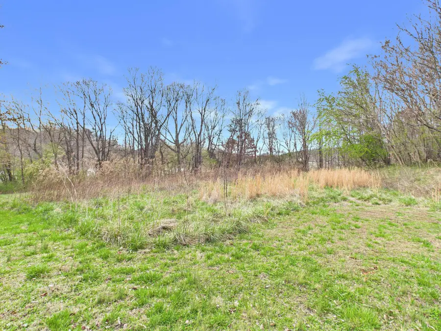 325 Countryside Lane, Madisonville, TN 37354 - #3