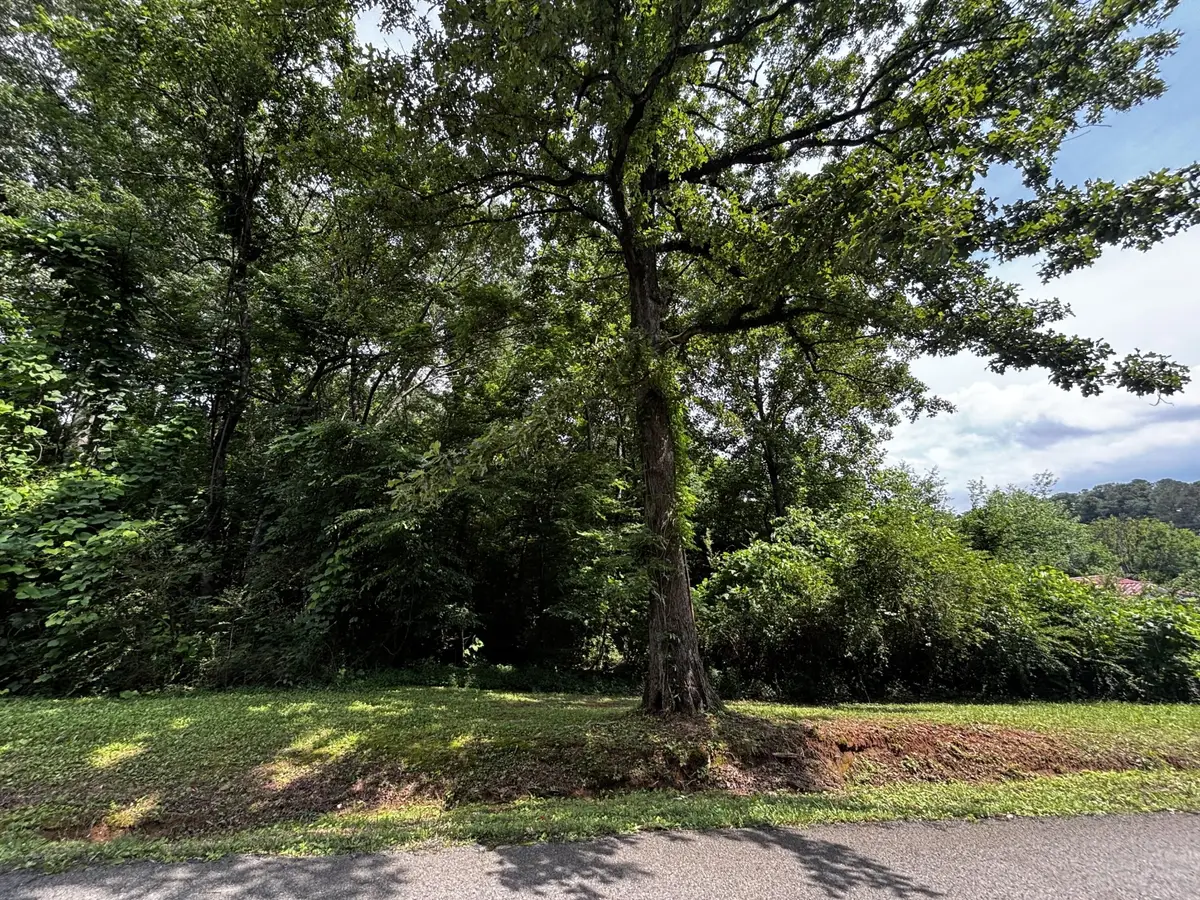0 Kendall Avenue, Bridgeport, AL 35740 - #1