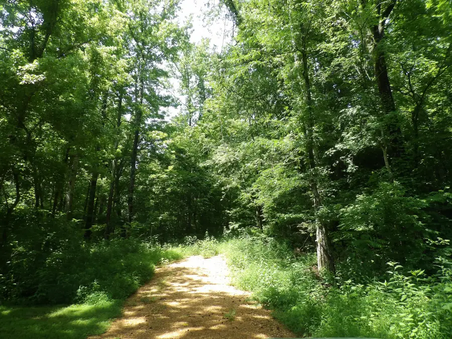 0 East Blue Creek Road, McEwen, TN 37101 - #3