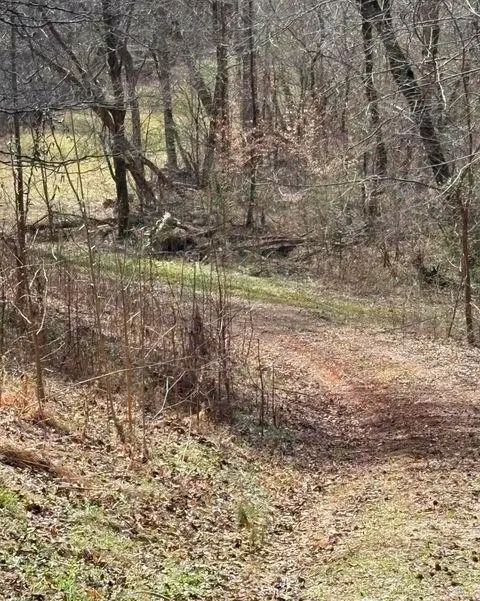 809 State Highway 310, Englewood, TN 37329 - #2