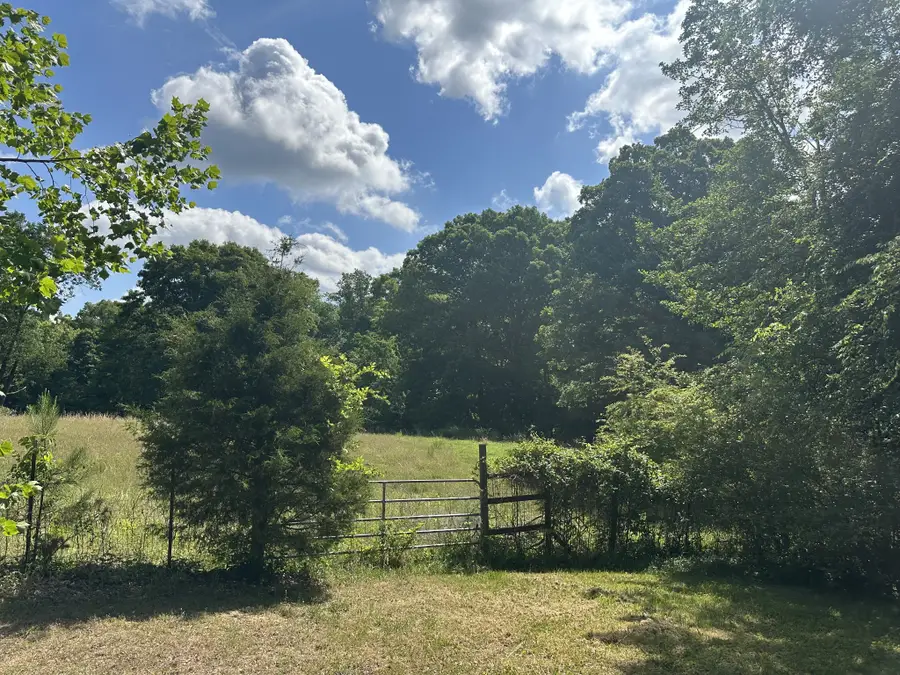 355 Albert Ivy Ln, Parsons, TN 38363 - #3