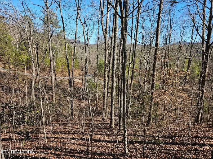 0 Red Rooster Way, Sevierville, TN 37876 - #3