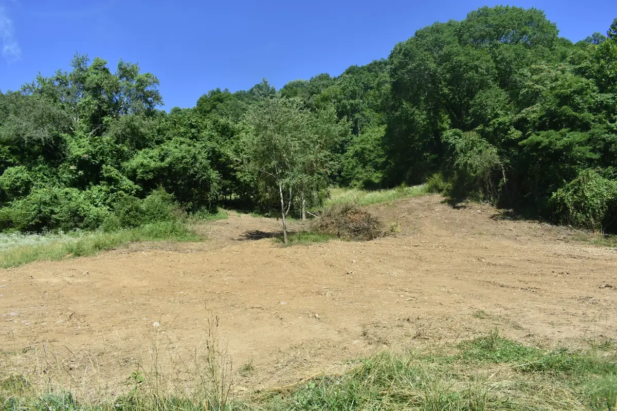 0 Pleasant Shade Hwy, Pleasant Shade, TN 37145 - #1