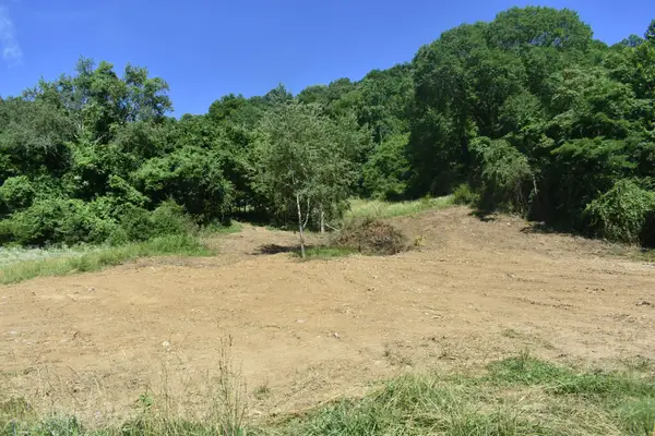 0 Pleasant Shade Hwy, Pleasant Shade, TN 37145