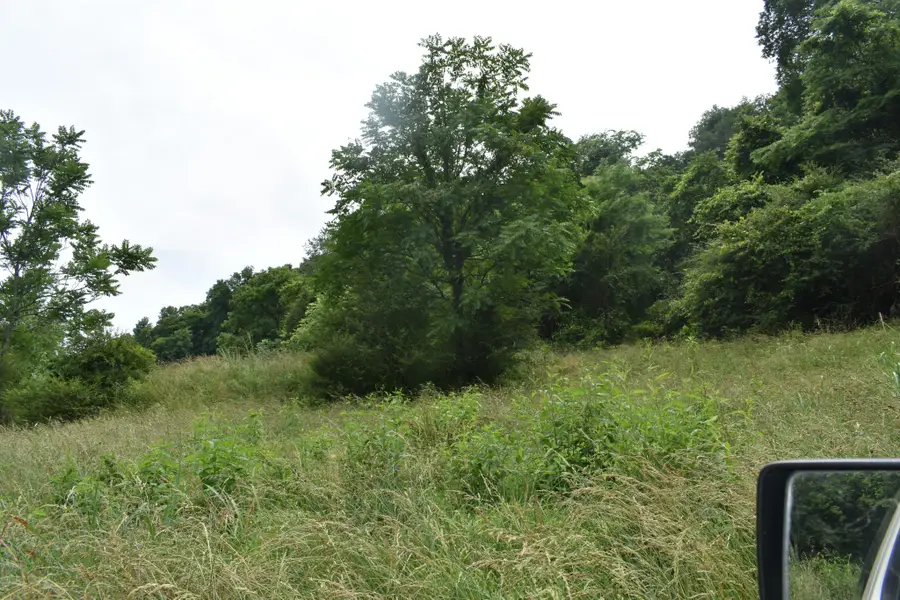 0 Pleasant Shade Hwy, Pleasant Shade, TN 37145 - #3