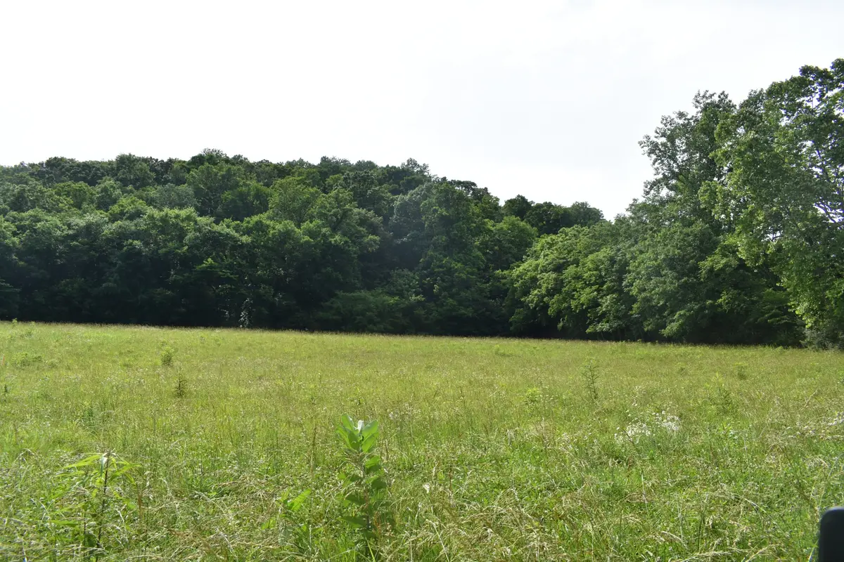 0 Pleasant Shade Hwy, Pleasant Shade, TN 37145 - #1