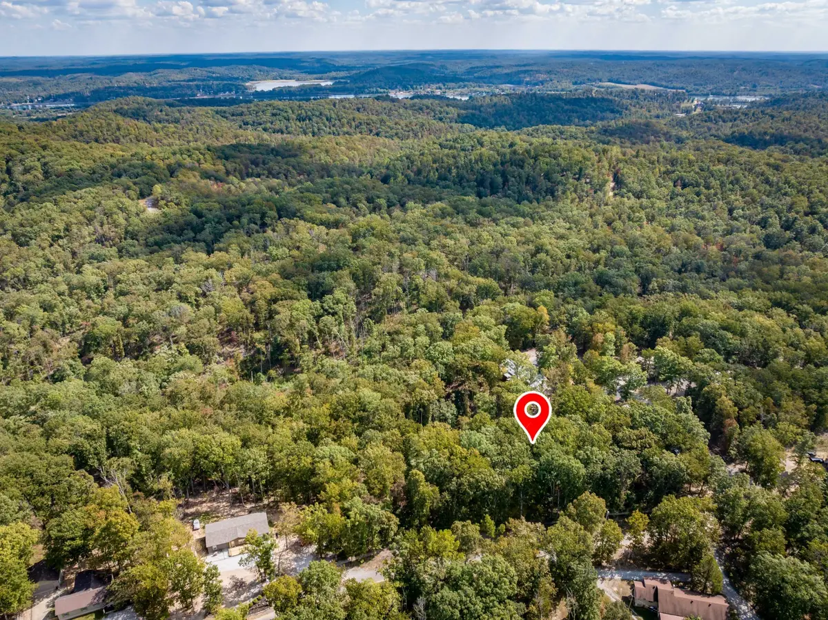 0 Ridgeway Drive, Sugar Tree, TN 38380 - #1
