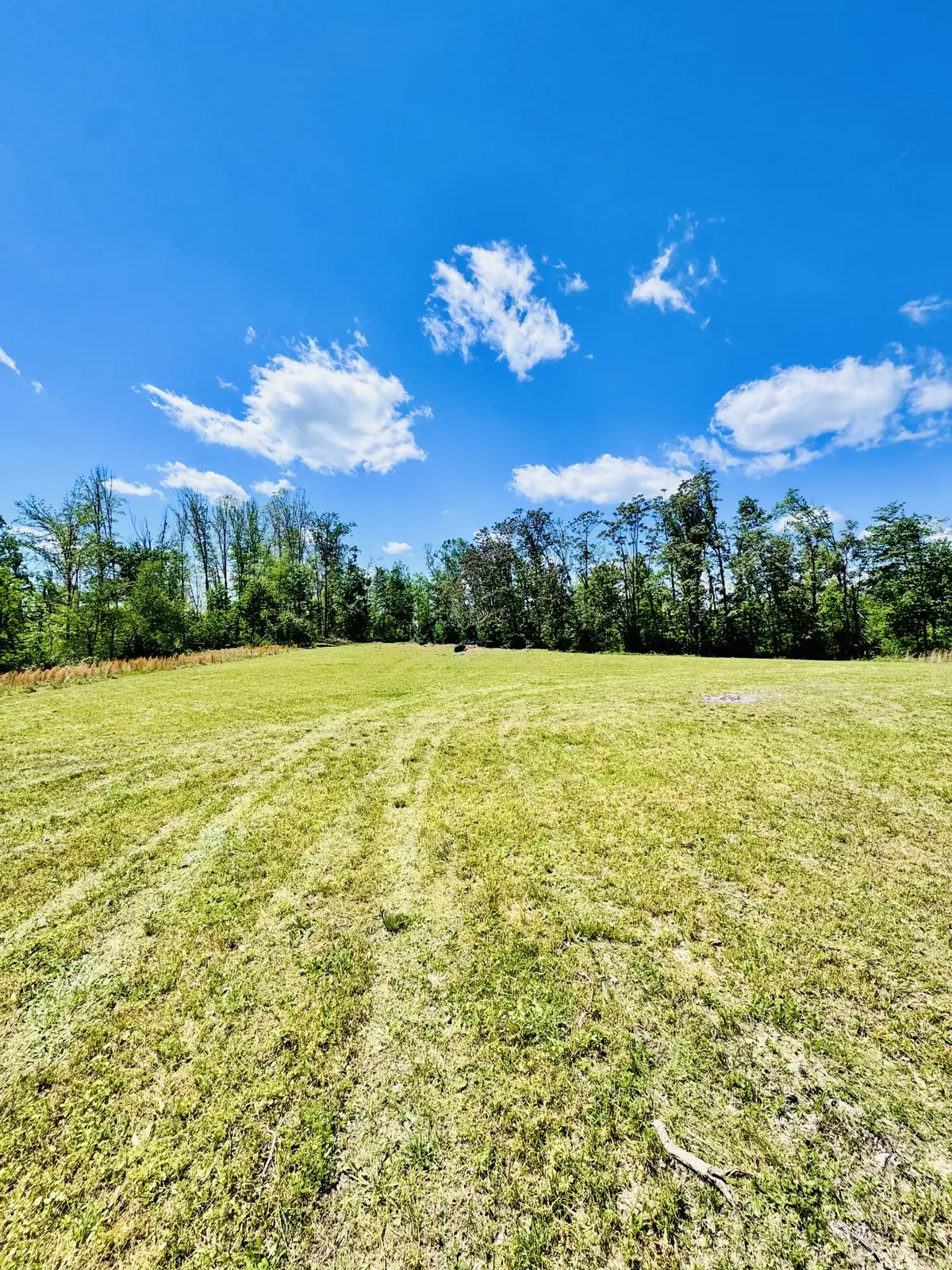 0 Annie Hollow Rd, Westmoreland, TN 37186 - #1