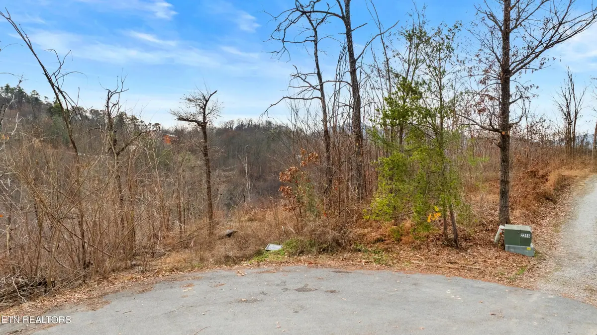 7 Lone Ridge Drive, Sevierville, TN 37876 - #1