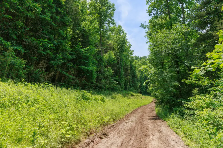 582 Cedar Bend Rd, Beechgrove, TN 37018 - #2