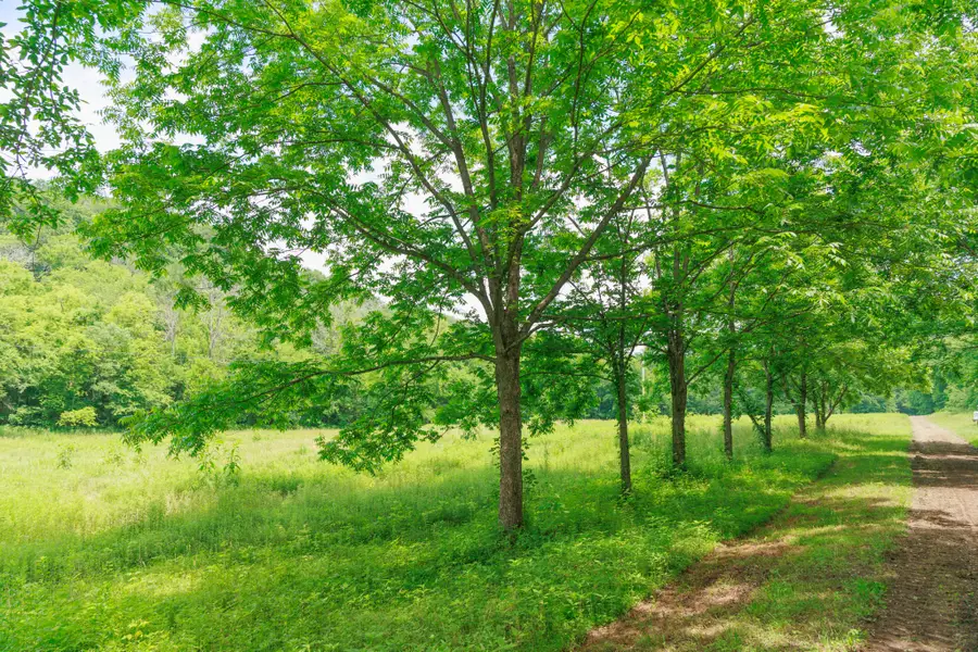 582 Cedar Bend Rd, Beechgrove, TN 37018 - #3