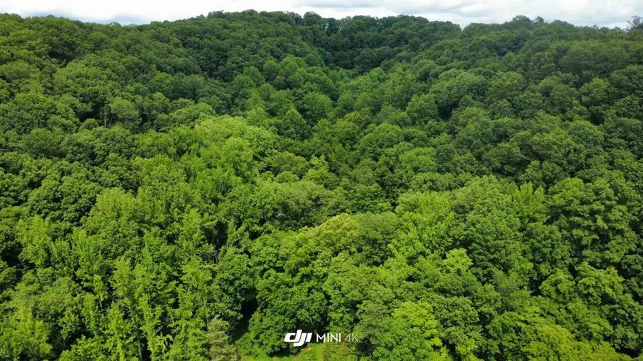 4998 Tranham Rd, Whites Creek, TN 37189 - #3
