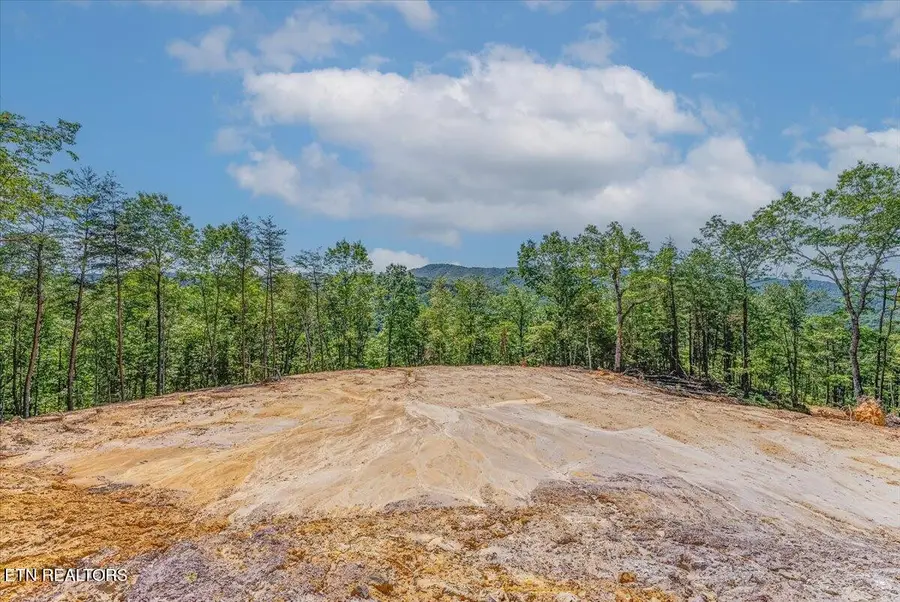 1200 Steer Creek Rd, Tellico Plains, TN 37385 - #2