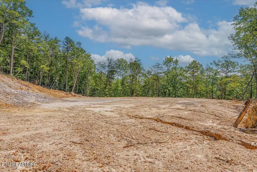 1200 Steer Creek Rd, Tellico Plains, TN 37385 - #3
