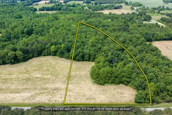 0 Mann Rd, Hollow Rock, TN 38342