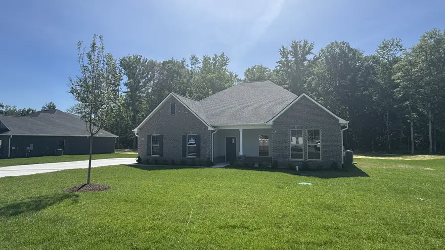 8663 Turnbull Dr, Pleasant View, TN 37146 - #3