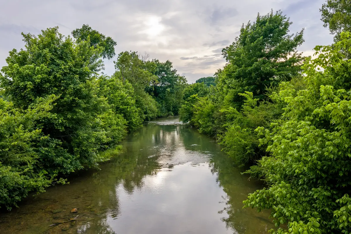 0 Ostella Rd, Cornersville, TN 37047 - #1