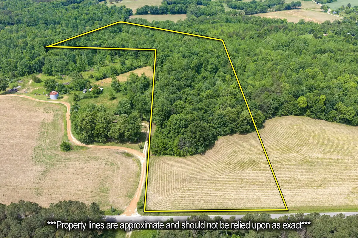 0 Mann Rd, Hollow Rock, TN 38342 - #1