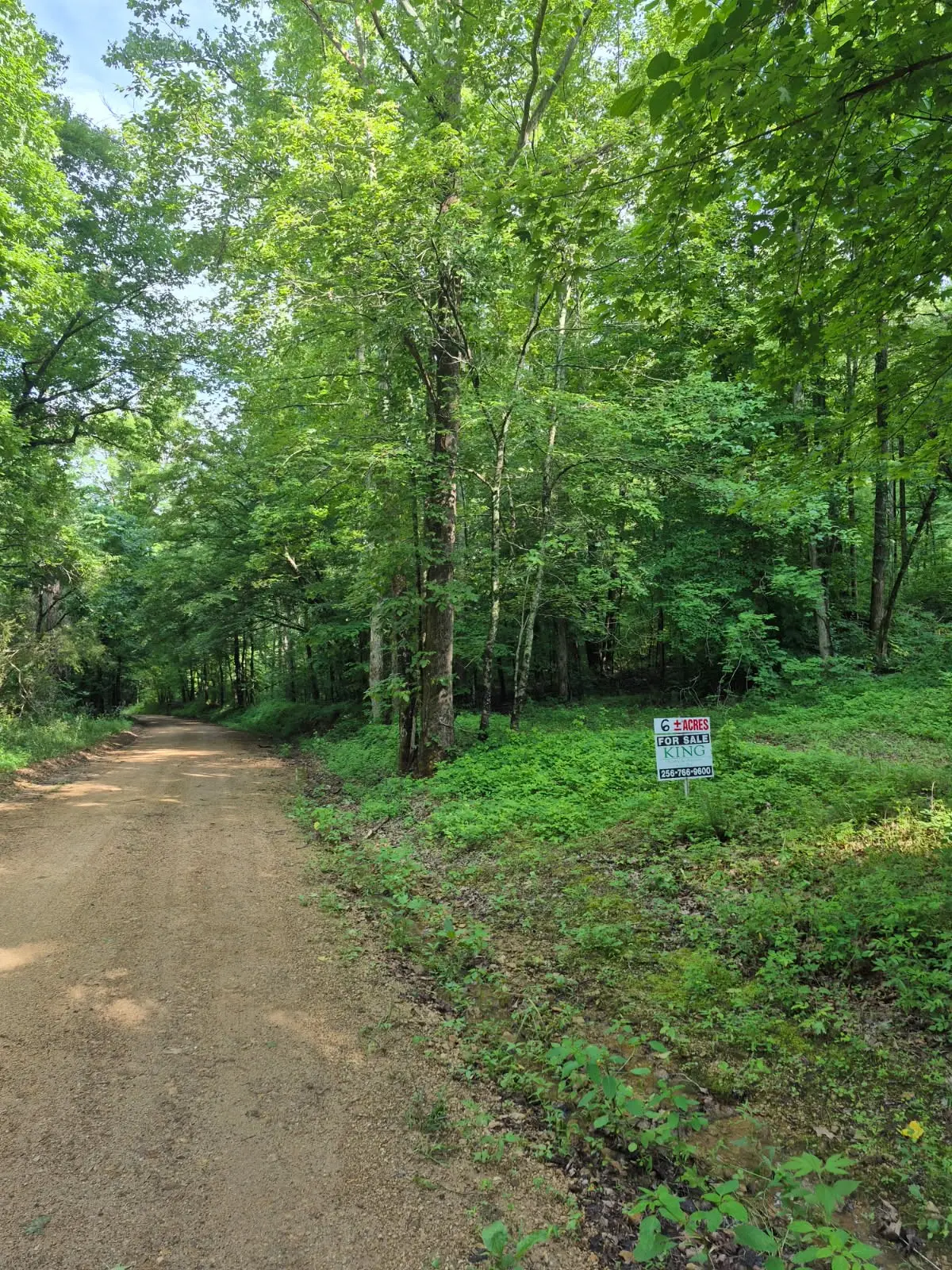 0 Co Rd 462, Lexington, AL 35648 - #1